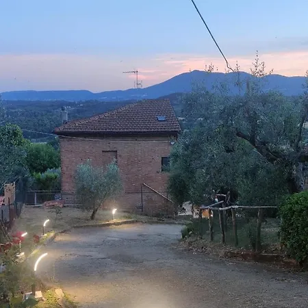 Violella Apartment